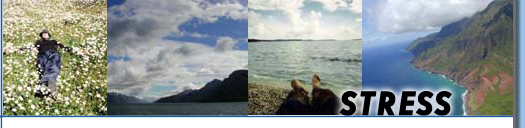 Stress Info